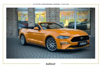 Ford Mustang Cabrio 5.0 V8  fotó